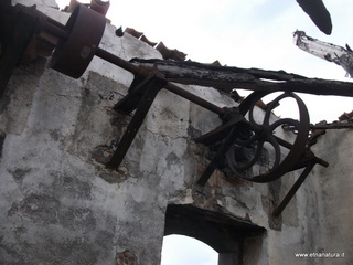 zzena-07-04-2013 08-16-35